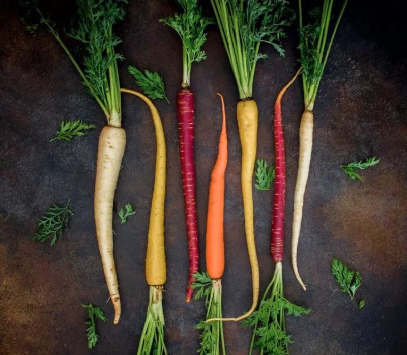 Food Security